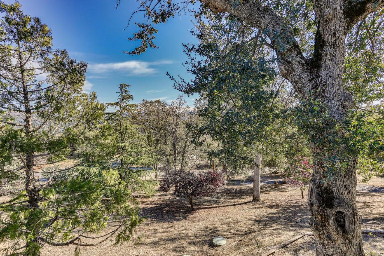 Cozy Studio With Well-Being Retreat Near Yosemite! Ahwahnee Exterior foto